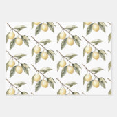 Lemons Sicily Rustic Brown Stripes Birthday ラッピングペーパーシート (正面3)