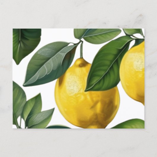 Lemons Summer ポストカード (正面)