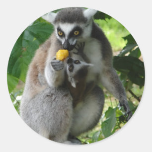 Lemurのステッカー ラウンドシール