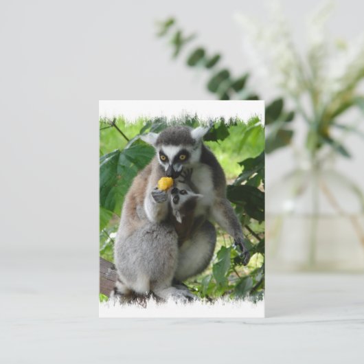 Lemurはがき ポストカード (スタンド正面)
