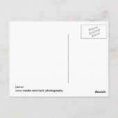 Lemurはがき ポストカード (裏面)