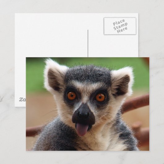 Lemurはがき ポストカード (正面/裏面)