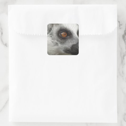 Lemur写真 スクエアシール (バッグ)
