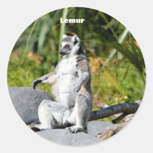 Lemur猿 ラウンドシール