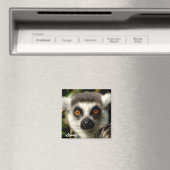 Lemur1マグネット マグネット (インサイチュ (食洗機))