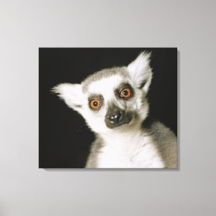 lemur. キャンバスプリント