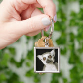 lemur. キーホルダー (手)