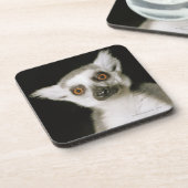 lemur. コースター (左側)