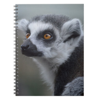 Lemur ノートブック