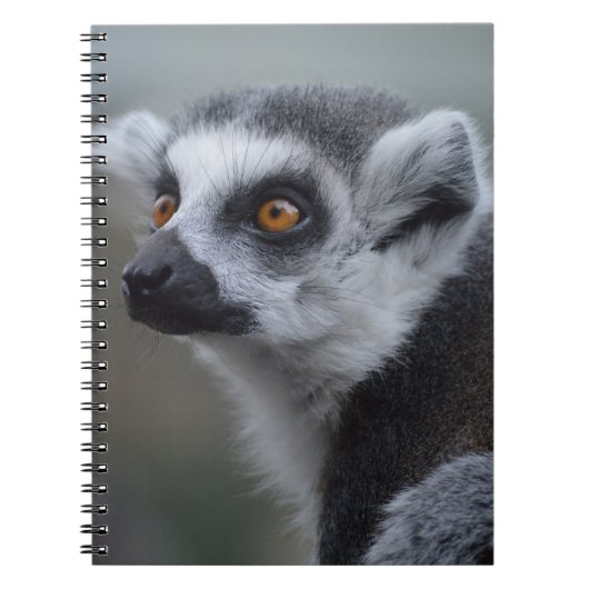 Lemur ノートブック (正面)