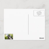 Lemur ポストカード (裏面)