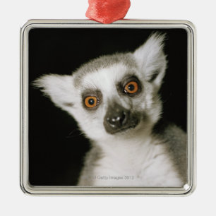 lemur. メタルオーナメント