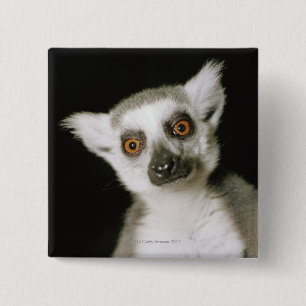 lemur. 缶バッジ