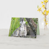 「Lemur-Gram」誕生日・カード カード (黄色い花)