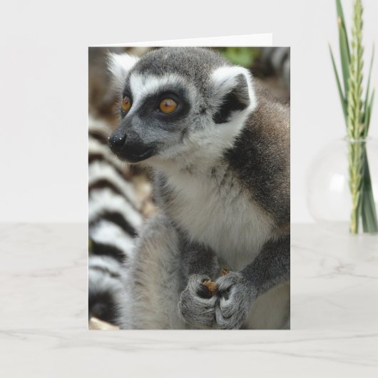 Lemur Monkey Greeting Card カード (正面)