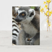 Lemur Monkey Greeting Card カード (黄色い花)