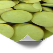 Lentilsポスター ポスター (角)