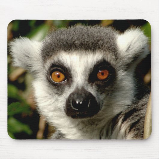 Lenurのマウスパッド マウスパッド (正面)