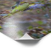 L'envol de la perruche フォトプリント            (角)