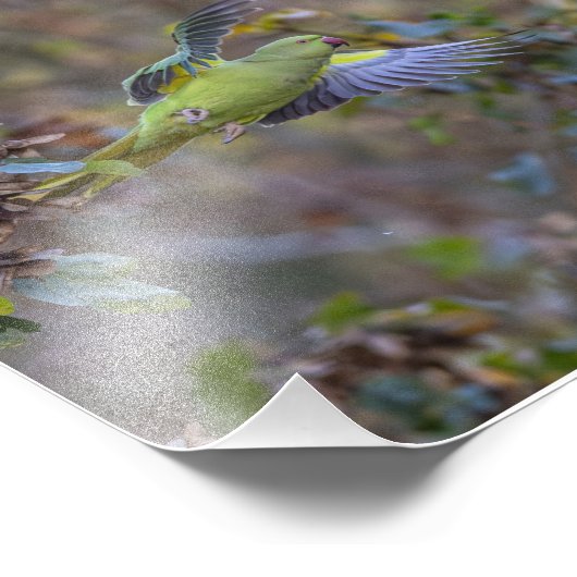 L'envol de la perruche フォトプリント (角)