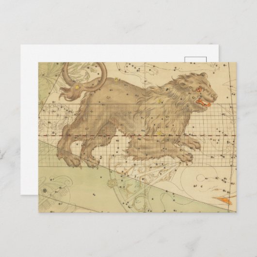  Leo star sign restored antique map ポストカード (正面/裏面)