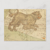  Leo star sign restored antique map ポストカード (正面)