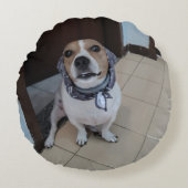 Leo the sweet and friendly jack russell ラウンドクッション (正面)