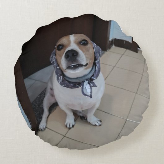 Leo the sweet and friendly jack russell ラウンドクッション (裏面)