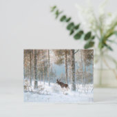 Leodinovich: 森林のオオシカ ポストカード (スタンド正面)