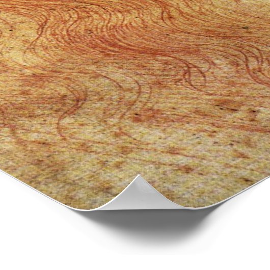 Leonardo ポスター (角)