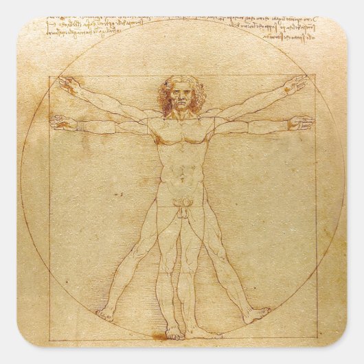 Leonardo da Vinci , Vitruvian Man スクエアシール (正面)