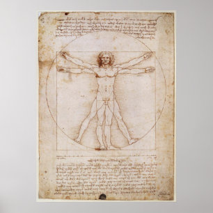 Leonardo da Vinci Vitruvian Man Poster ポスター