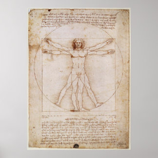 Leonardo da Vinci Vitruvian Man Poster ポスター