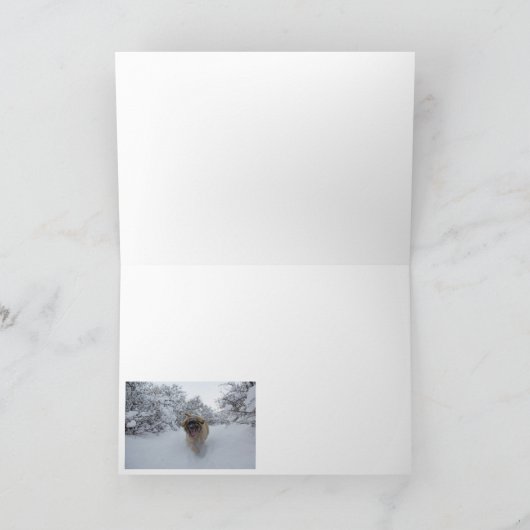 Leonbergerのきらめくクリスマスカード シーズンカード (内部)