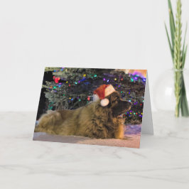 Leonbergerのきらめくクリスマスカード シーズンカード