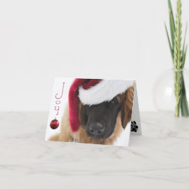 Leonbergerの子犬のクリスマス シーズンカード