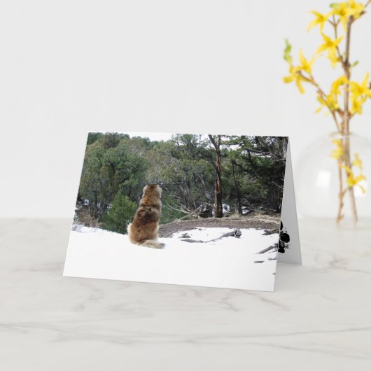 Leonbergerの悔やみや弔慰カード カード (黄色い花)