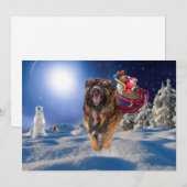 Leonbergerはクリスマスに平らな休日カードを救います シーズンカード (正面/裏面)