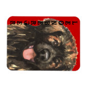 Leonbergerカラーブロック マグネット (横)