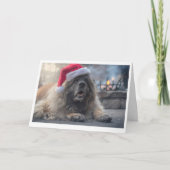 Leonbergerサンタ シーズンカード (正面)