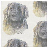 Leonberger ファブリック (クローズアップ)