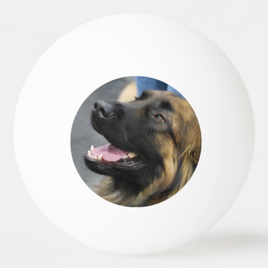 Leonberger 卓球ボール (裏面)