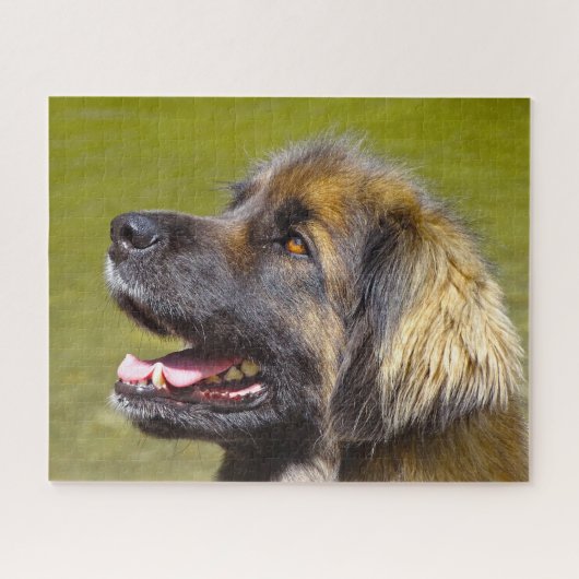 Leonberger Dog Breed Jigsaw. ジグソーパズル (横)