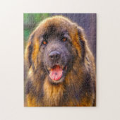 Leonberger Dog Breed Jigsaw. ジグソーパズル (縦)