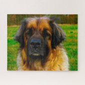 Leonberger Dog Breed Jigsaw. ジグソーパズル (横)