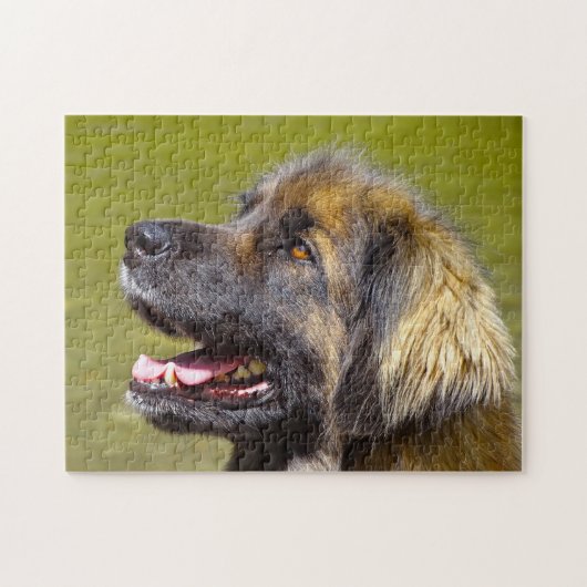 Leonberger Dog Breed Jigsaw. ジグソーパズル (横)