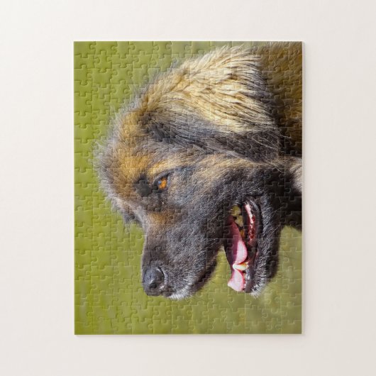 Leonberger Dog Breed Jigsaw. ジグソーパズル (縦)