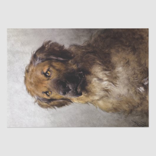 Leonberger Dog by Otto Eerman 薄葉紙 (正面)