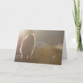 Leonberger Symapthyカード カード