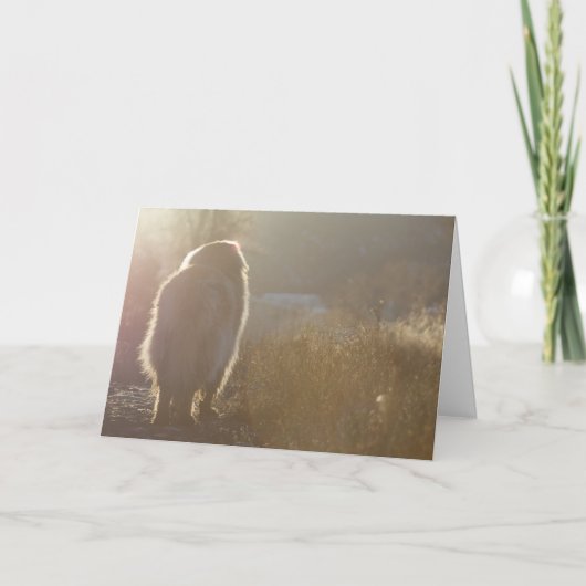 Leonberger Symapthyカード カード (正面)